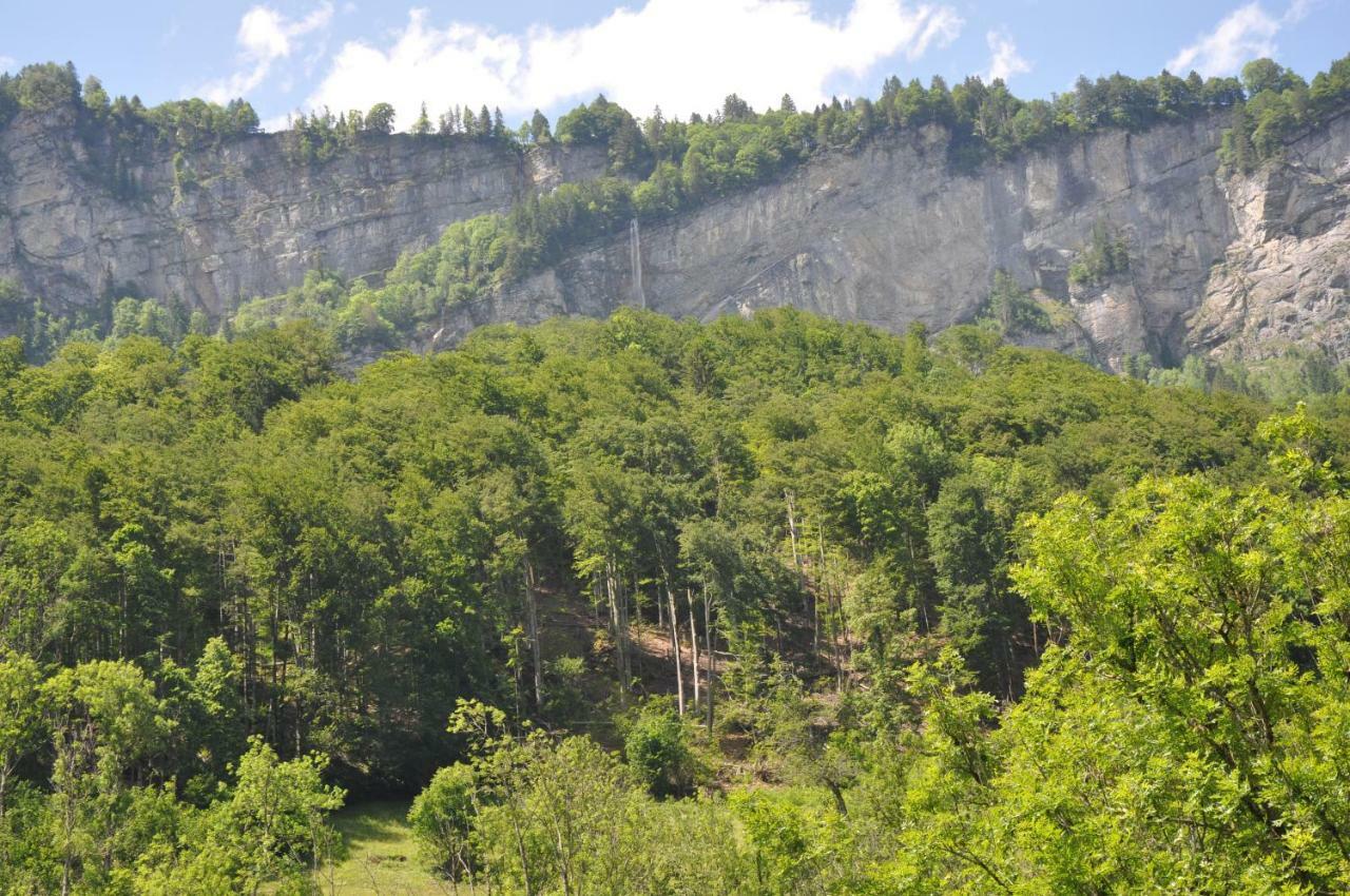 Ferienwohnungen Alter Raaben Ruti  Exterior foto