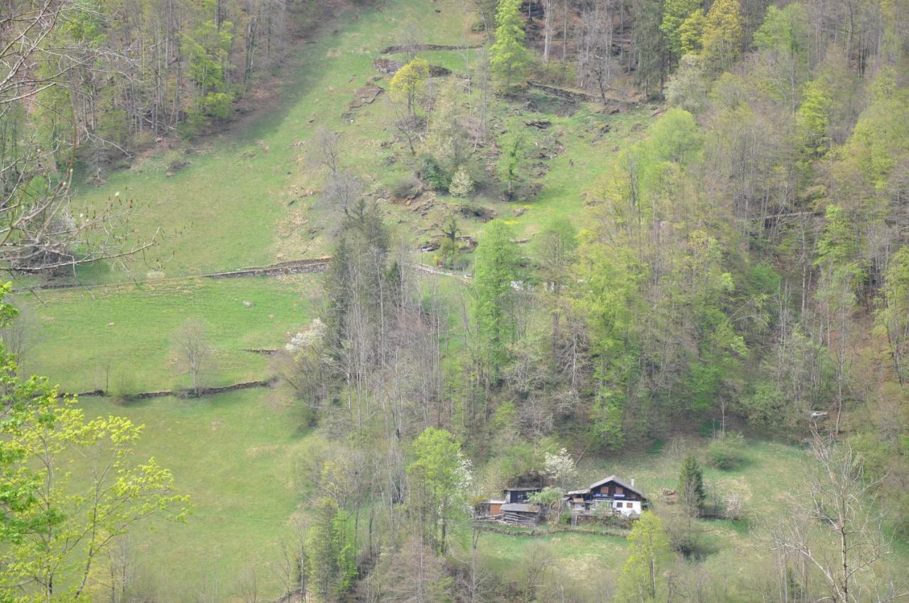 Ferienwohnungen Alter Raaben Ruti  Exterior foto