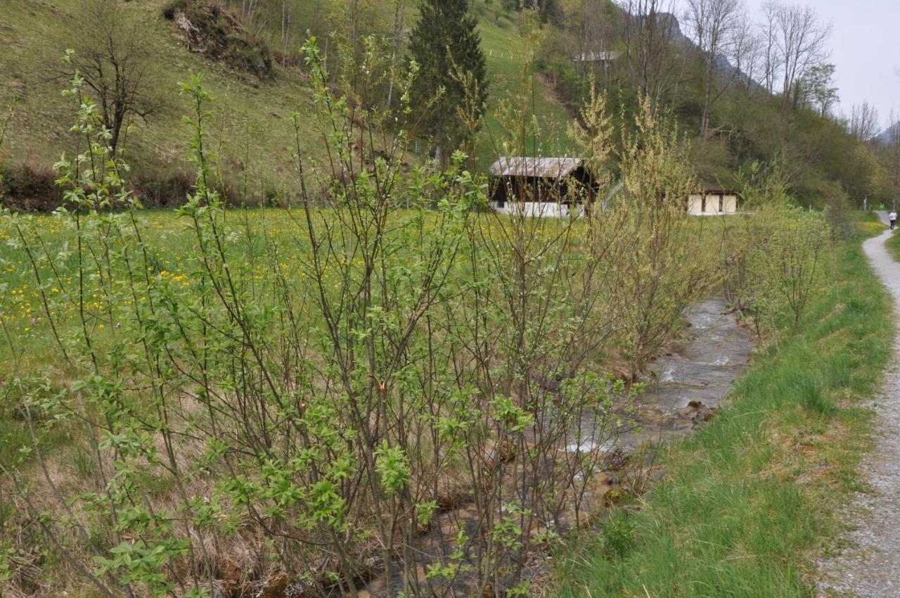 Ferienwohnungen Alter Raaben Ruti  Exterior foto